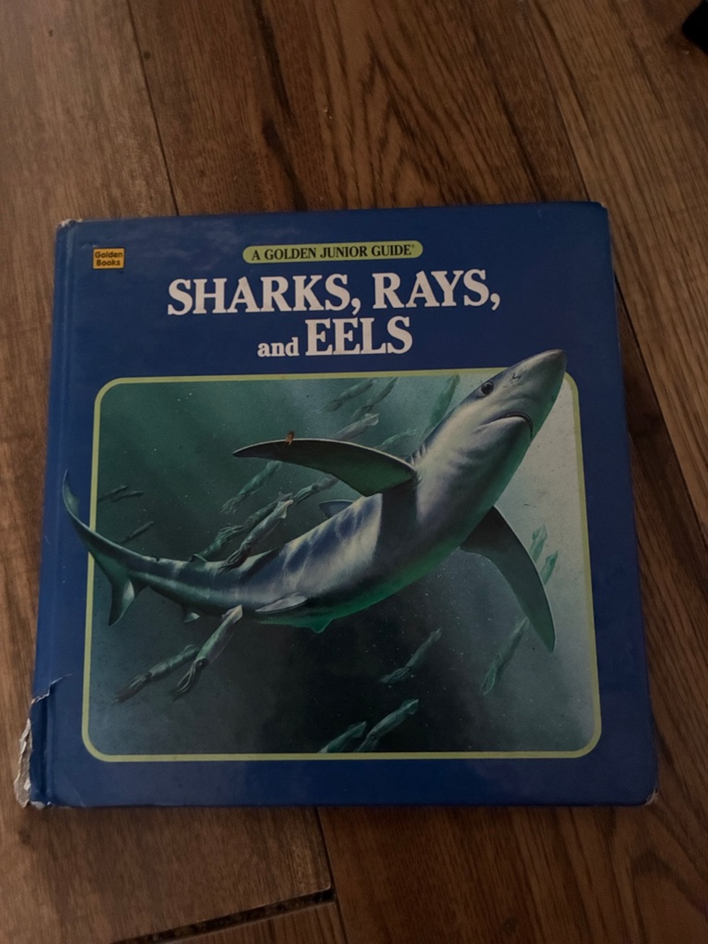Sharks, Rays, and Eels Hardcover Guide - Blue Cover
